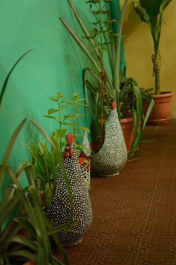 Hostal Fachente León Esterno foto